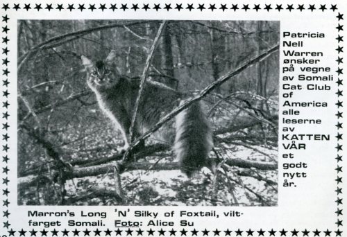 Til julenummeret i 1978 fikk vi dette bildet av en somali fra Patricia Nell Warren. Alice Su var forøvrig en svært kjent kattefotograf på den tiden.