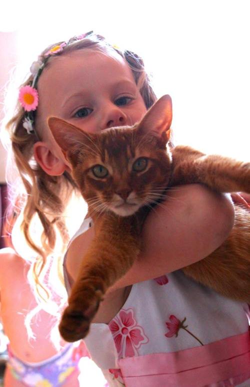 Amore Leone av Rubicon, ABY o var.