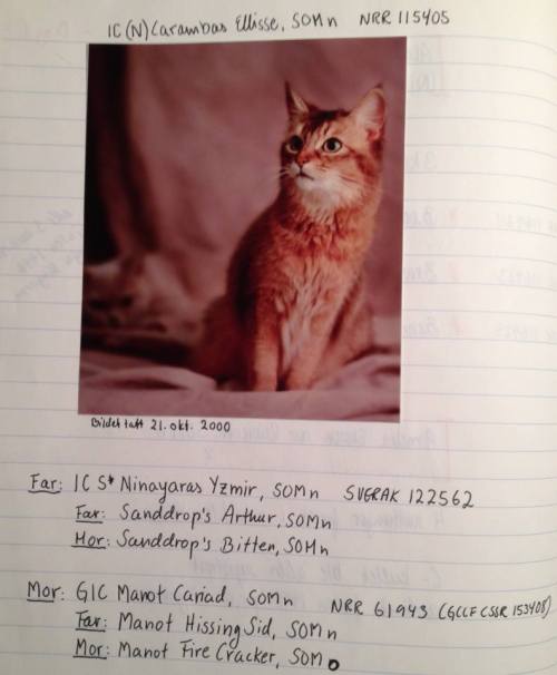 1001199_10151781006061171_707508868_n