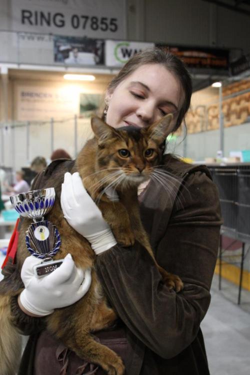 Lilly Oversand Deildok med Pendragon av Revebo (N). Oppdretter Gøran Vinje, eier Kiachero Somali. 