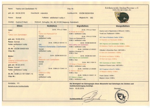 Stamtavle original Yasha