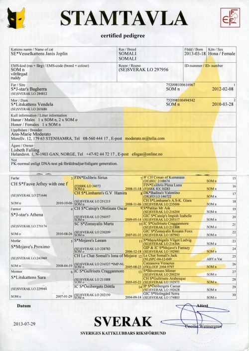 Vesselkattens Janis Joplin SVERAK