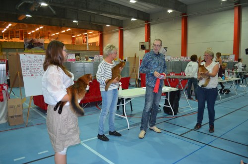 Et meget spennende øyeblikk på SØRAK.