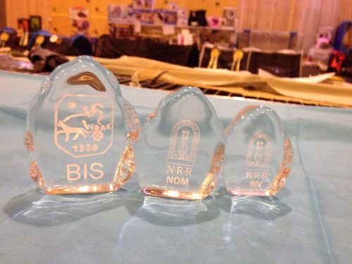 1377388_10151928505731171_1778876133_n-1