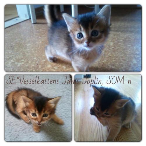 529086_10151606631906171_847389447_n