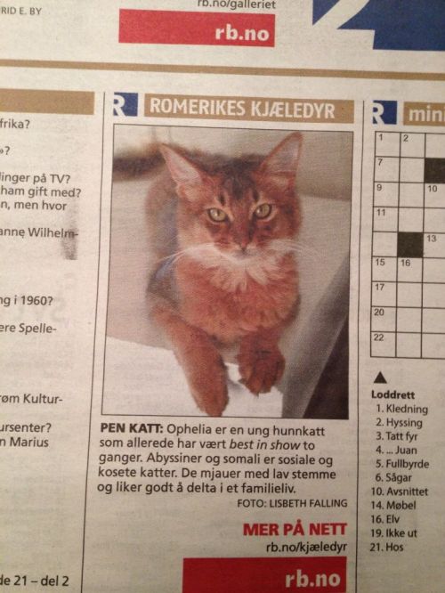 581649_10151510125256171_1745834531_n