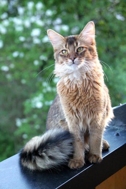 581999_10151674161486171_1806156446_n