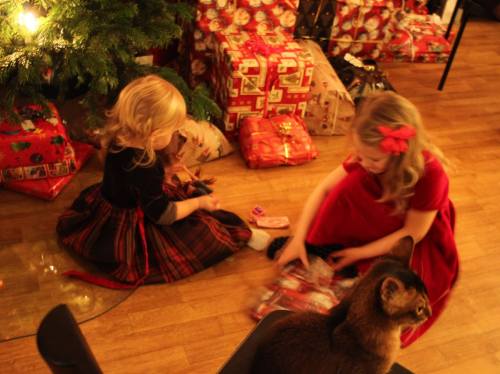 882071_10152143547736171_1131330383_o