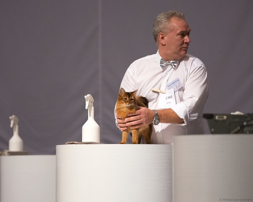 Janis på WWS 2013