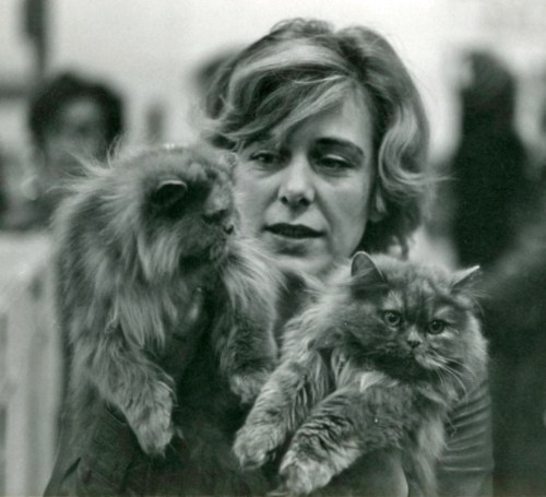 Kari Haugsdal med perserkatter på 1970-tallet.