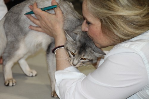 PR Alfonzino av Rubicon, SOM ns. Eier Lene Trehjørningen og Bent Ove Jensen.