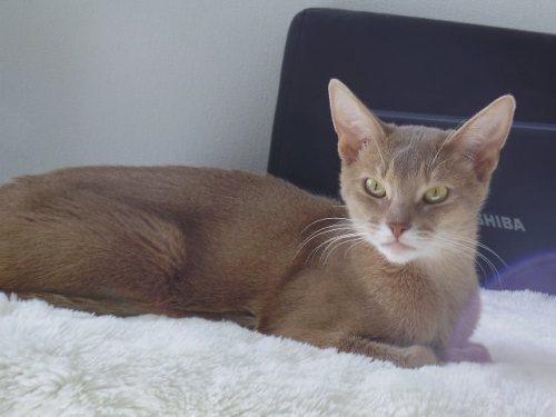 Arabella av Rubicon. Foto Valérie Bourel