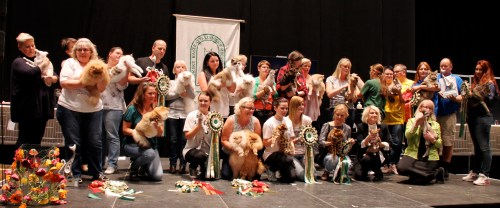 Scandinavian Winners 2014