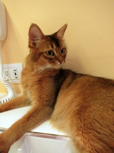 Janis på hotellrommet