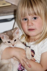 Adele med W-kattunge