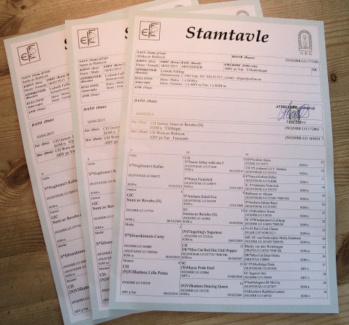 Stamtavlene er kommet