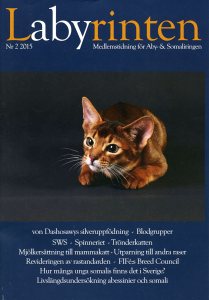 forsiden Labyrinten nr 2 - 2015