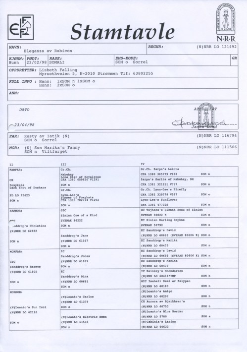 stamtavle-eleganza-av-rubicon