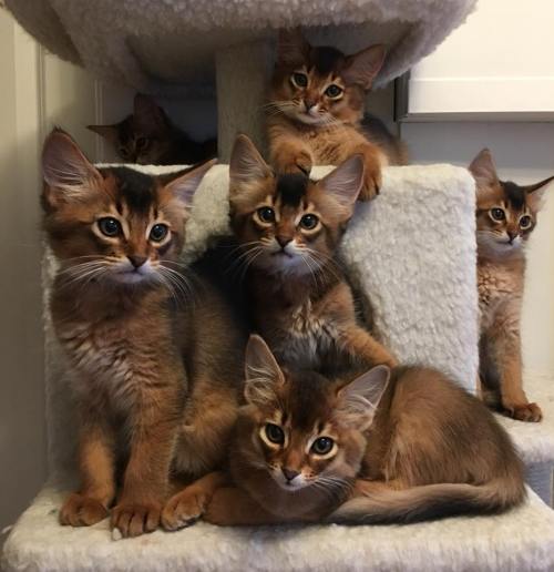 Alle sammen 30.11.17