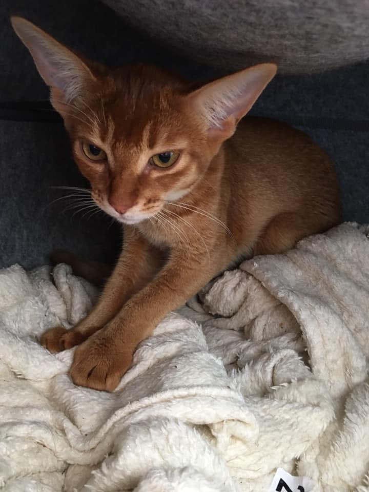 Cilla i Israel juli 2019