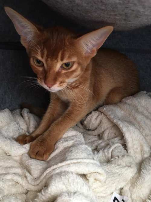 Cilla i Israel juli 2019